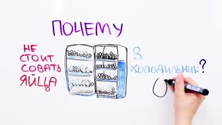 НаучПок Научпок - Нужно ли совать яйца в холодильник.mp4
