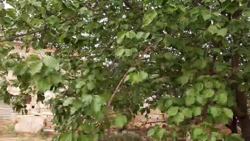 20200514_184656.mp4