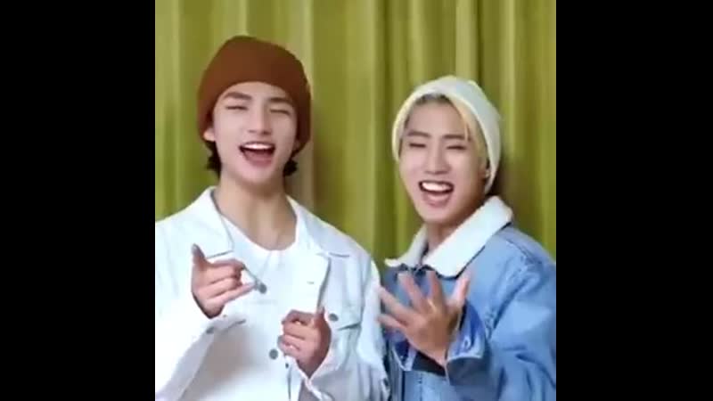 Dumb n dumber