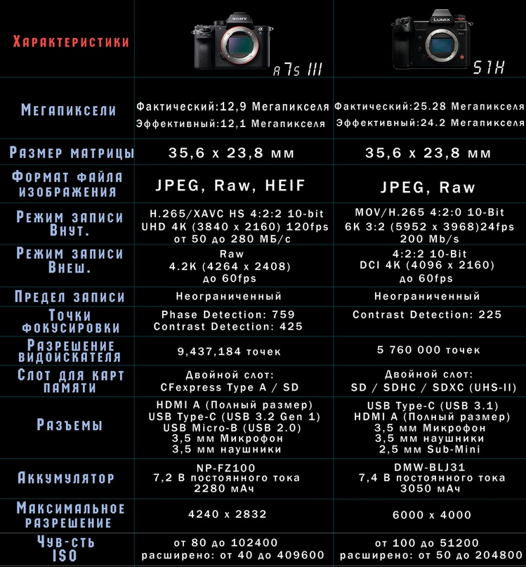 SONY A7S III, изображение №5