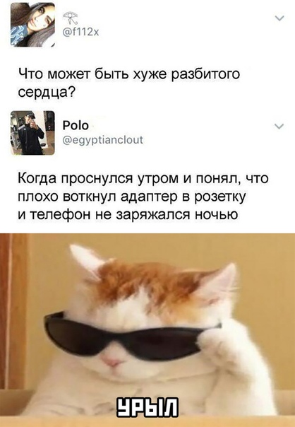 смешные картинки