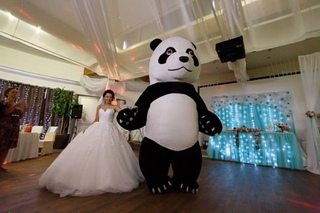 ростовые мишки тедди на свадьбу. большой медведь на свадьбу. ростовая кукла мишка. ростовая кукла стриптизерша невеста. шоу ростовых кукол на свадьбу.