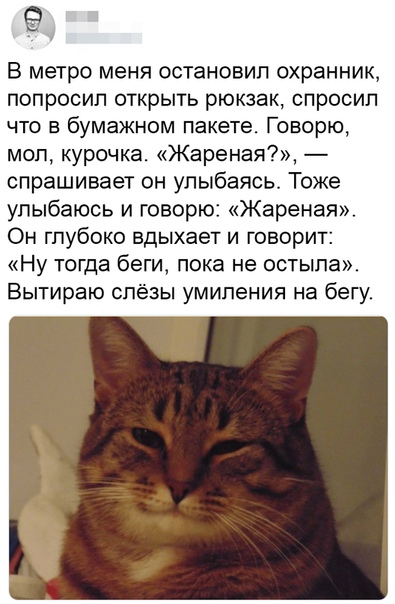 Охранник Фото Приколы Охранник Фото Приколы