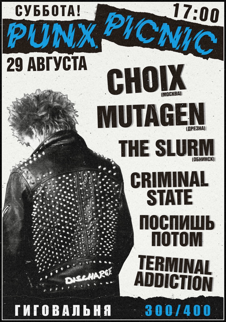 Афиша Нижний Новгород 29/08 PUNX PICNIC / NN