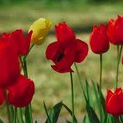 Замира Кадырбаева, 33 года, Актау, Казахстан
