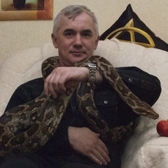 Александр Поземнов, Новокузнецк, Россия