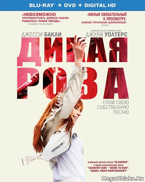 Дикая Роза / Wild Rose (2018/BDRip/HDRip) Дикая Роза / Wild Rose (2018/BDRip/HDRip)